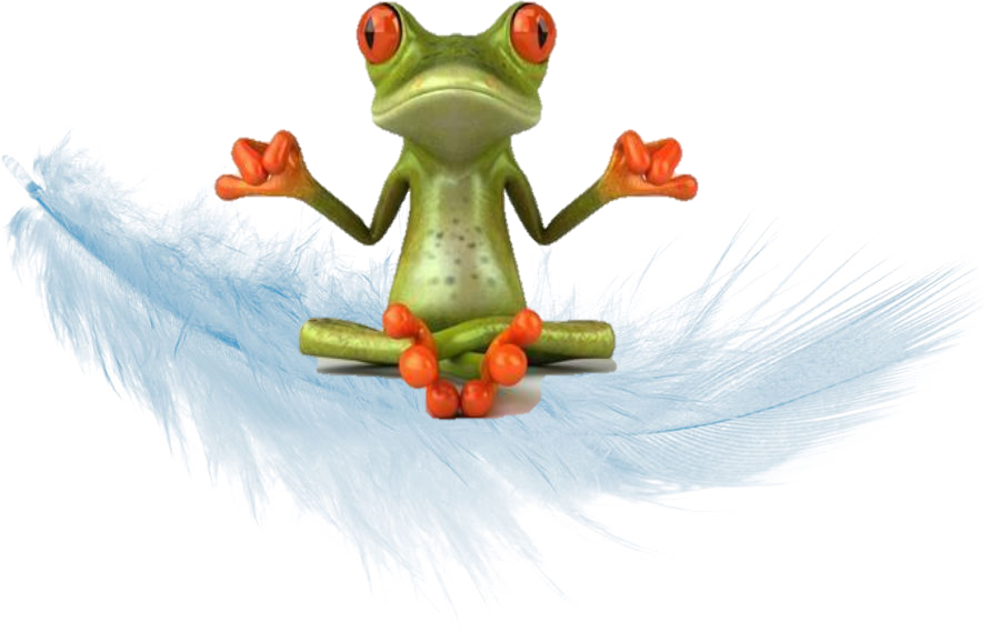 Grenouille sur plume